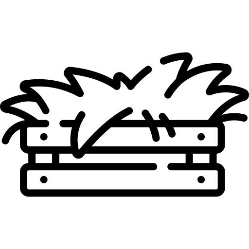 foins.webp